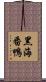 黑海番鴨 Scroll