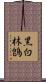黑白林鵖 Scroll