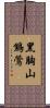 黑胸山鷦鶯 Scroll