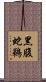黑腹蛇鵜 Scroll
