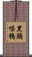 黑頭噪鴉 Scroll