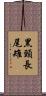 黑頸長尾雉 Scroll