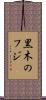 黒木のフジ Scroll