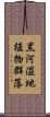 黒河湿地植物群落 Scroll