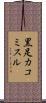 黒足カコミスル Scroll