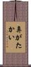 鼻がたかい Scroll