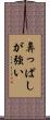 鼻っぱしが強い Scroll