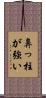 鼻っ柱が強い Scroll