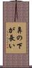 鼻の下が長い Scroll
