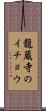 龍蔵寺のイチョウ Scroll