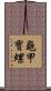 龜甲寶螺 Scroll