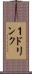 １ドリンク Scroll