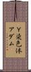 Ｙ染色体アダム Scroll
