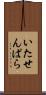 いたせんぱら Scroll