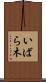 いばら木 Scroll