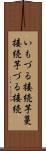 いもづる接続 Scroll