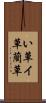 い草 Scroll