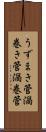 うずまき管 Scroll