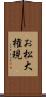 お松大権現 Scroll