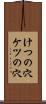 けつの穴 Scroll