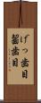 げっ歯目 Scroll