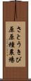 さとうきび原原種農場 Scroll