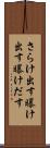 さらけ出す Scroll