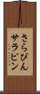 さらぴん Scroll