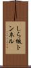 しら坂トンネル Scroll