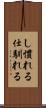 し慣れる Scroll