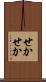 せかせか Scroll