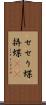 せせり蝶 Scroll