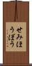 せみほうぼう Scroll