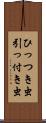 ひっつき虫 Scroll