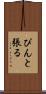 ぴんと張る Scroll