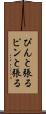 ぴんと張る Scroll