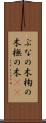 ぶなの木 Scroll