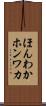 ほんわか Scroll