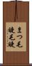 まつ毛 Scroll