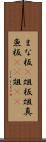 まな板(P) Scroll