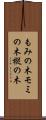 もみの木 Scroll