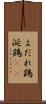 よだれ鶏 Scroll