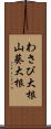 わさび大根;山葵大根 Scroll