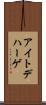 アイトデハーゲ Scroll