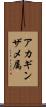 アカギンザメ属 Scroll
