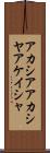 アカシア Scroll