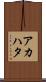 アカハタ Scroll