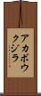 アカボウクジラ Scroll