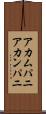 アカムパニ Scroll