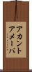 アカントアメーバ Scroll